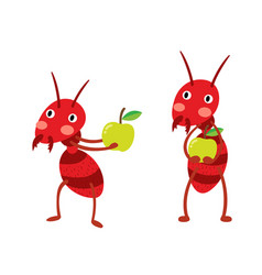 Fire Ants With Green Apples