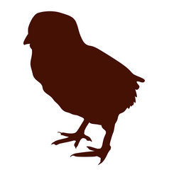 Little Chicken Bird Silhouette