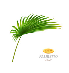 Bend Or Curved Palmetto Leaf Tropical Flowers