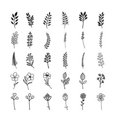 Bloom nice collection Royalty Free Vector Image