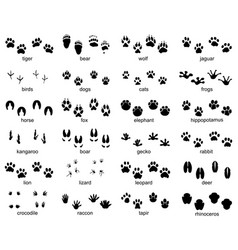 Lizard Footprints Vector Images (over 280)