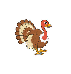 A Turkey Bird Posing Standing Design