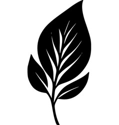 Leaf - Black And White