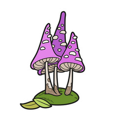 Tall Poisonous Mushrooms Color Variation