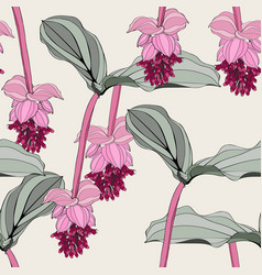 Seamless Pattern With Tropical Medinilla Flowers