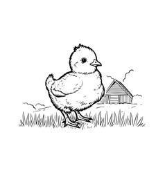 Cute Little Chicken Hand Drawn Ink Sketch