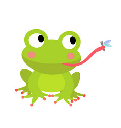 Frog Eating Fly Animal Cartoon Character