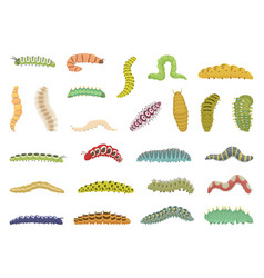 Caterpillar Icons Set Cartoon Nature