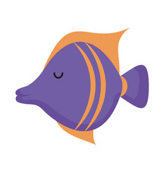 Cute Fish Icon