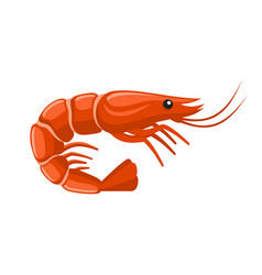 Shrimp Icon On White Background