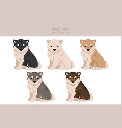 Kishu Ken Puppy Clipart Different Poses Coat