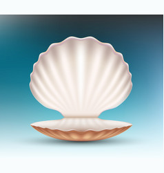 Open Empty Seashell Mockup