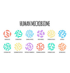 Human Microbiome Of Bacterial Species Image