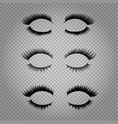 Realistic False Eye Lashes Set