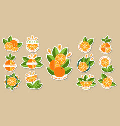 Stickers With Orange Green Leaves Fruit Slices