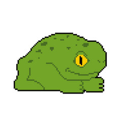 Frog Pixel Art Toad 8 Bit