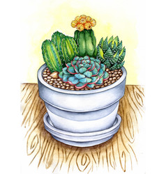 Watercolor Sketch Of Cacti And Succulents