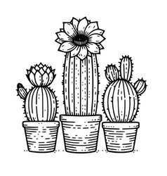 Cactus Coloring Pages For Children And Adults