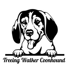 Treeing Walker Coonhound Peeking Dog - Head