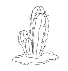 Cute Cactus Clipart Black And White