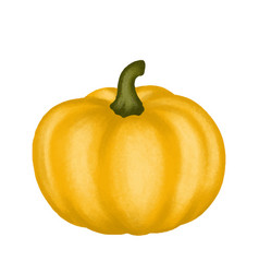 A Watercolor Yellow Pumpkin Single Object