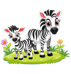 Family Of Zebras Standing On Green Glass