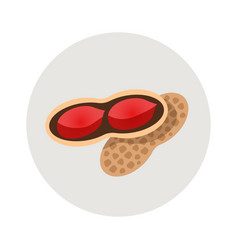 Peanut Flat Icon