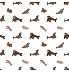 Sea Animal Seamless Pattern With Walrus