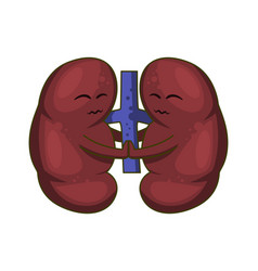 Cute Kidney Character Design