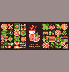 Set Of Geometric Elements Logo With Grapefruit