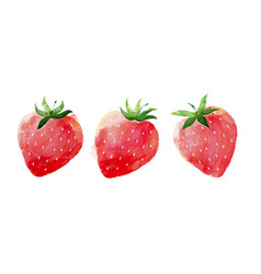 Watercolor Set Of Red Strawberries