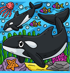 Killer Whale Marine Animal Colored Cartoon