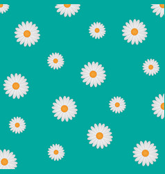 Daisy seamless pattern Royalty Free Vector Image