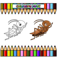 Cartoon Grasshopper For Coloring Book