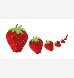 Strawberry Stream Background