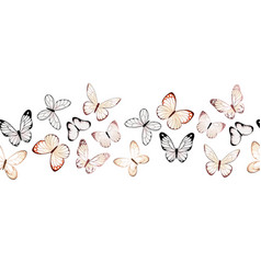 Beautiful Delicate Butterflies