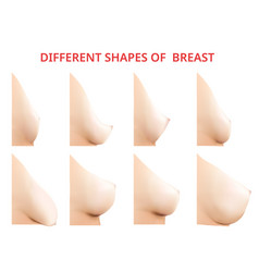 Different Shapes Breast Women Breast