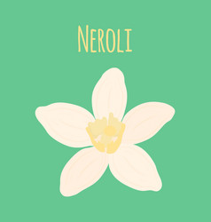 Neroli Flower Oil Plant Essential Cosmetics