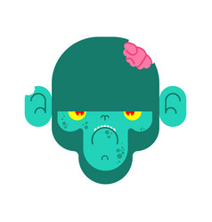 Monkey Zombie Gorilla Green Undead