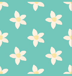 Neroli Flower Seamless Pattern Oil Plant