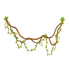 Twisted Wild Lianas Branches Banner Jungle Vine