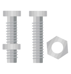 Carpentry Screws On A White Background