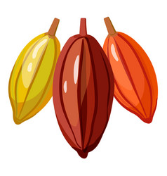 Cocoa Tree Pod Icon Cartoon Farm Leaf