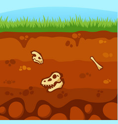 Underground Layer Structure With Reptile Fossils