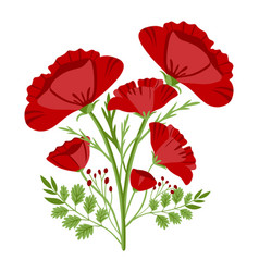 Red Poppies Isolated