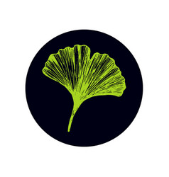 With Ginkgo Biloba Leaf On A Round Dark