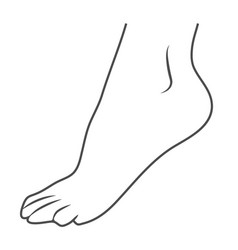 Human Foot Leg Icon Isolated On A White