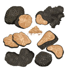 Black Truffle Mushroom Set Whole Truffle Cut