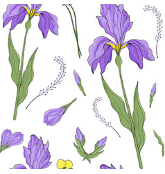 Iris Flower Seamless Pattern On White Background