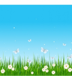 Grassy Field And Butterflies